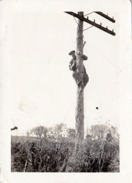 William Wachter climbing electrical pole for electrical service